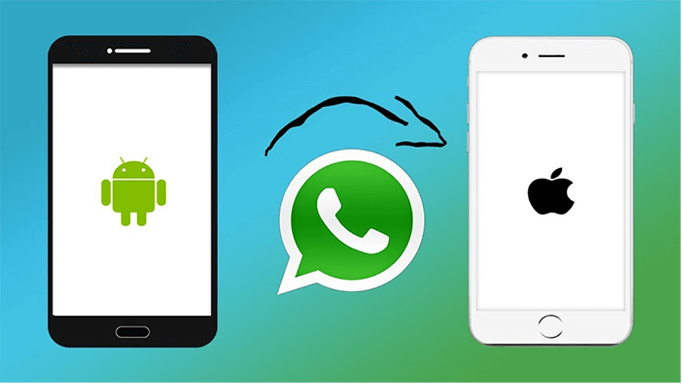 whatsapp transfer