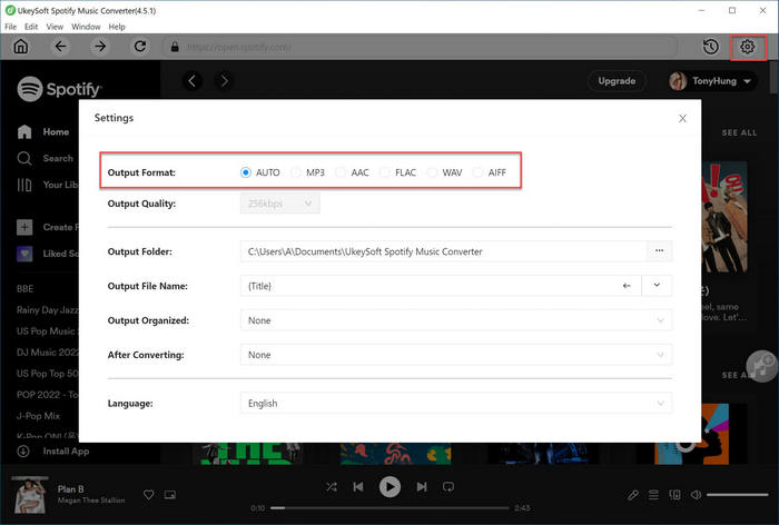 Output Format for Spotify